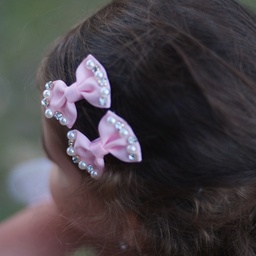 PINCES A CHEVEUX PRINCESSE & PERLE